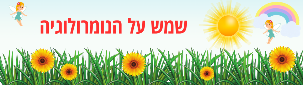 עידו הלפרין נומרולוגיה