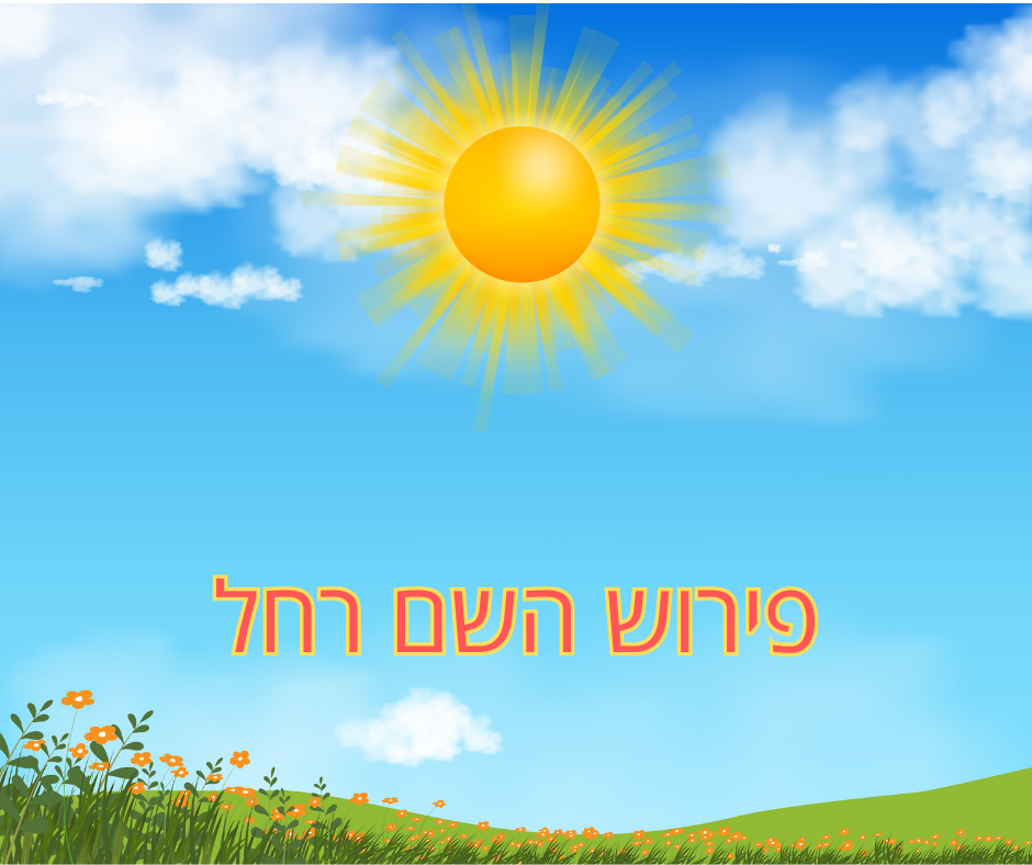 פירוש השם רחל