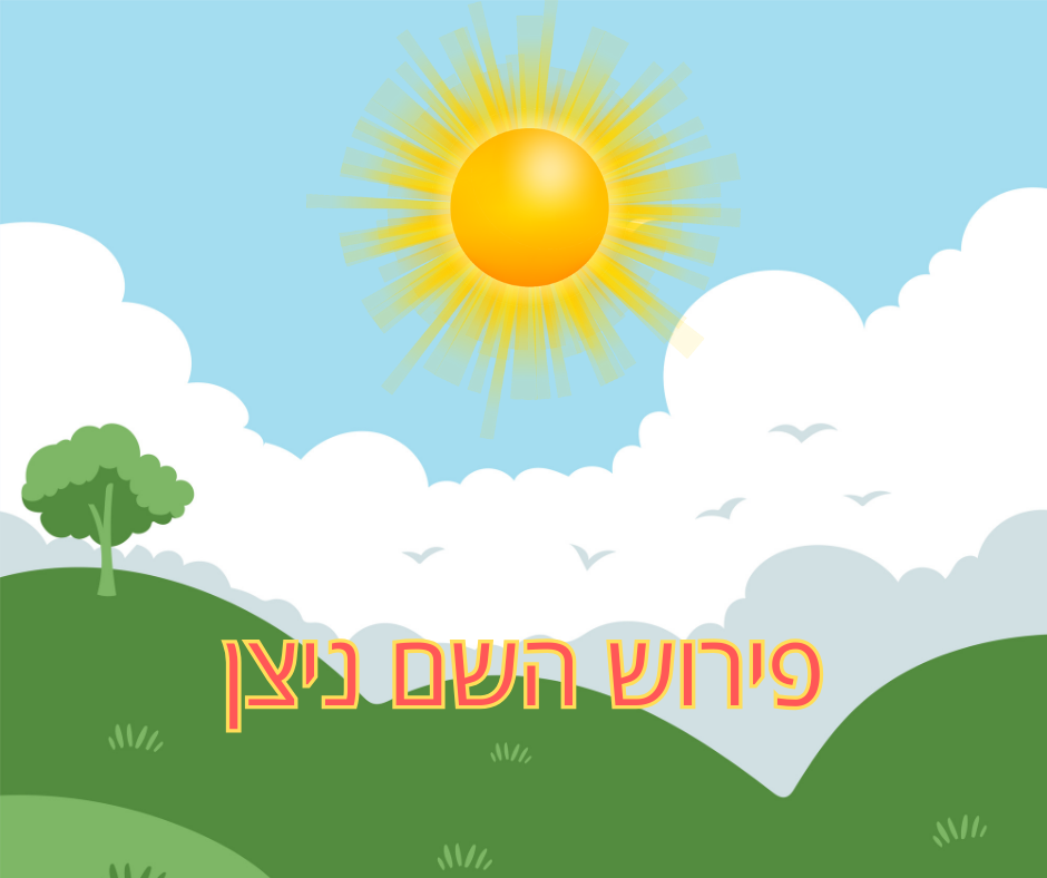 פירוש השם ניצן