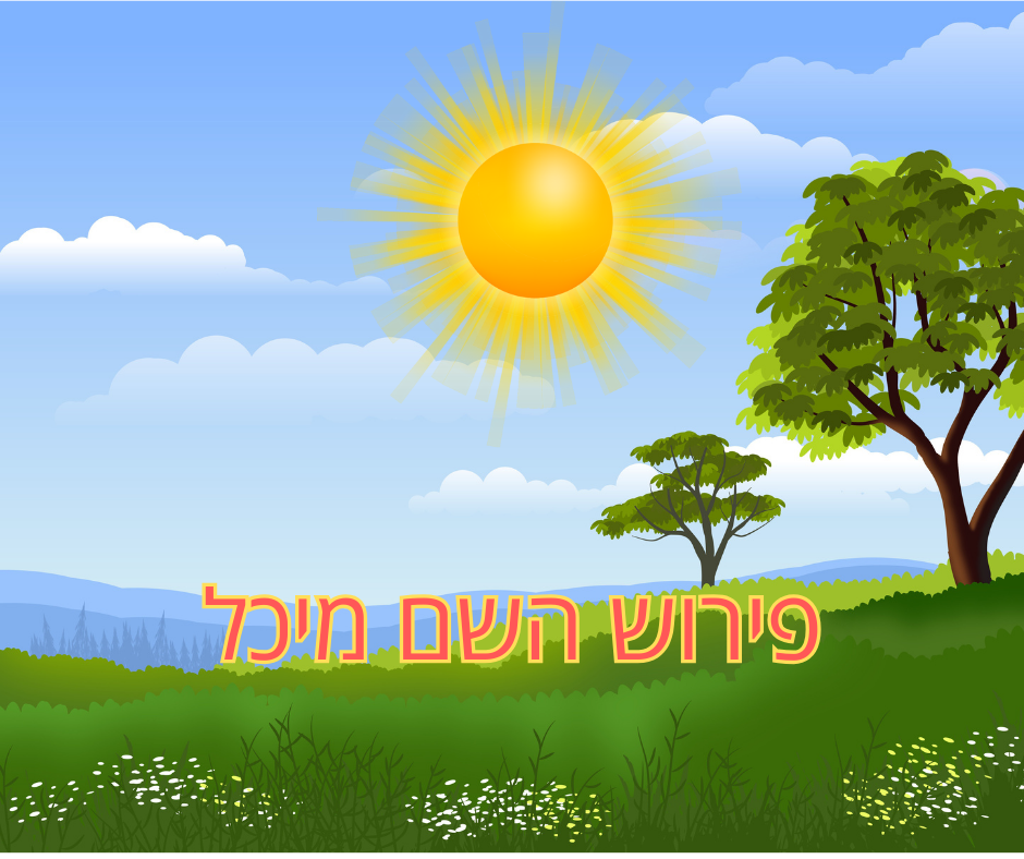 פירוש השם מיכל